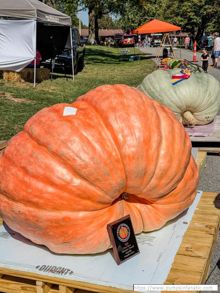 fruitImages/1241 Hough 2025B.jpeg